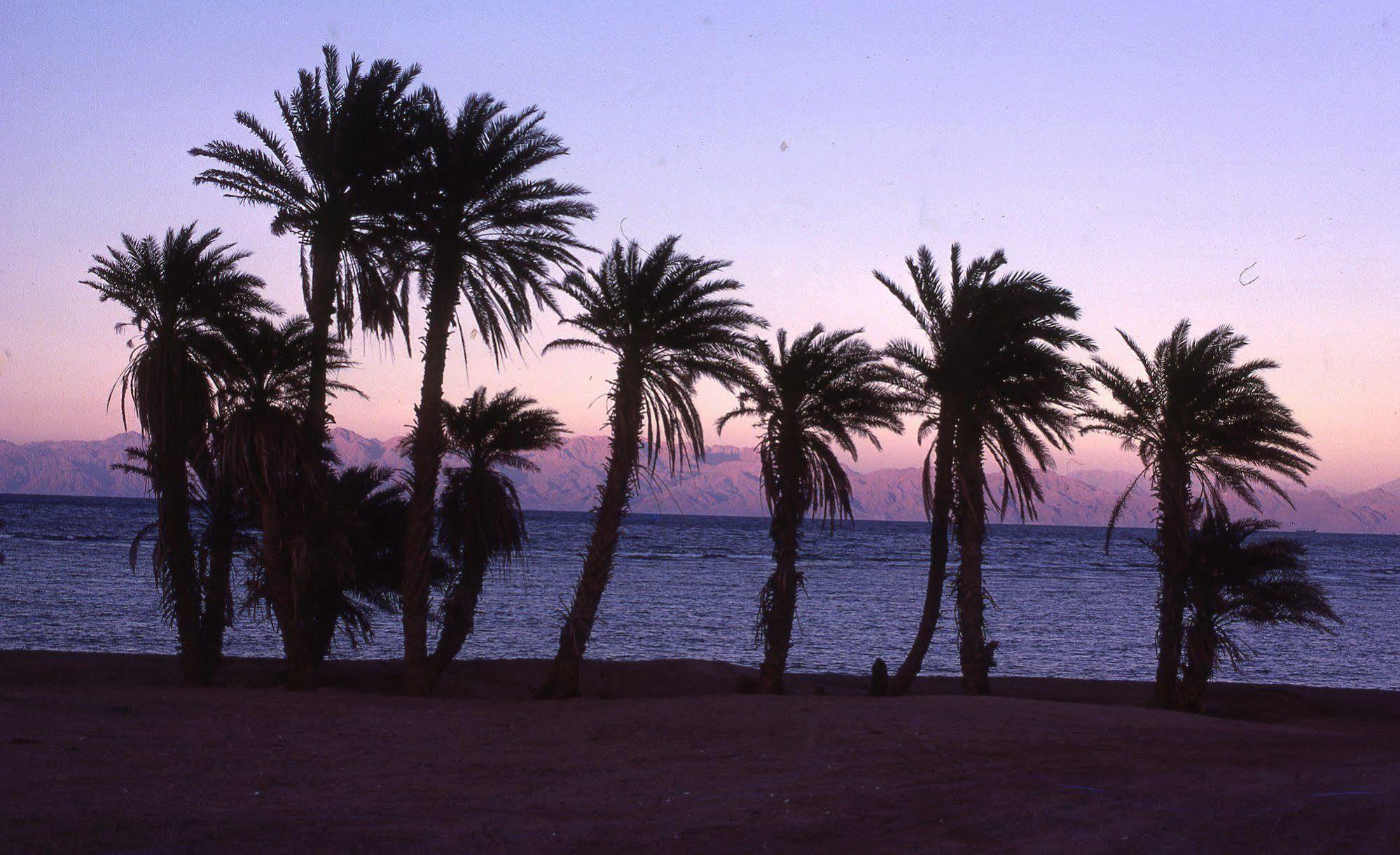 Star Of Dahab Hotel Exterior foto